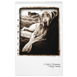 Calendrier Nation de Weimaraner : Une étude de Weimaraners