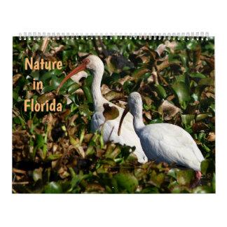 Calendrier Nature en Floride