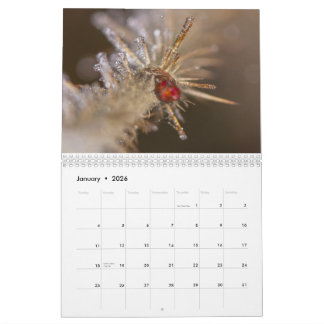 Calendrier Nature inspired 2026 calendar