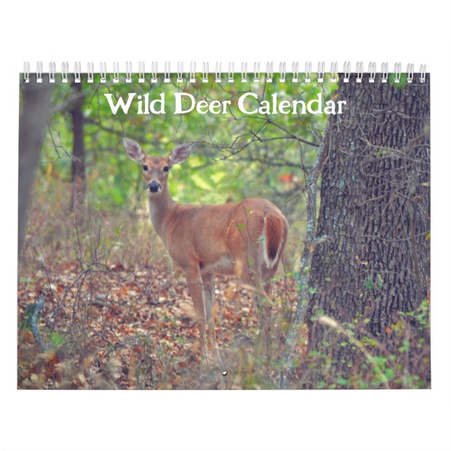 Calendrier naturel des cerfs sauvages (Protection)