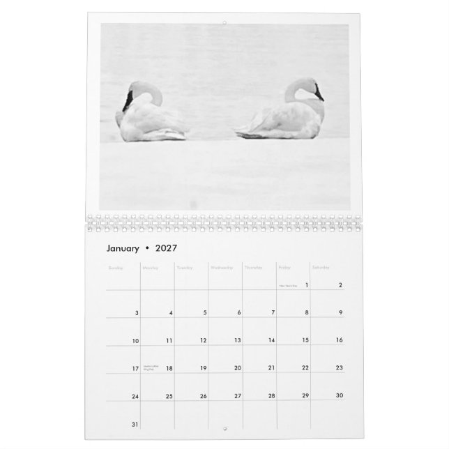 Calendrier Nature's Perspectives - 2026 Wall Calendar (Jan 2027)