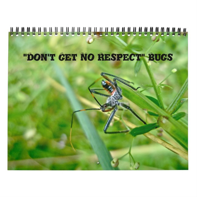 Calendrier - Ne pas avoir de bogues de respect (Protection)