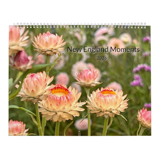 Calendrier New England Moments 2026 Calendar (Protection)