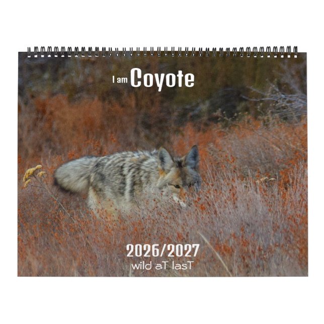 Calendrier New! 'I am Coyote' 2026/2027 calendar (Protection)