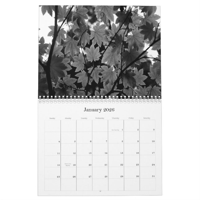 Calendrier noir et blanc de la photographie 2011 (Jan 2026)