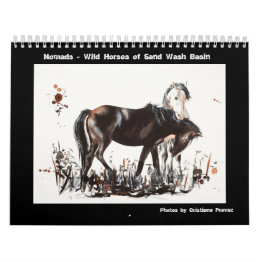 Calendrier Nomades - Chevaux sauvages du bassin de lavage du 