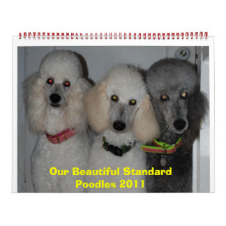Calendrier Nos Belles Poodles Standard 2011