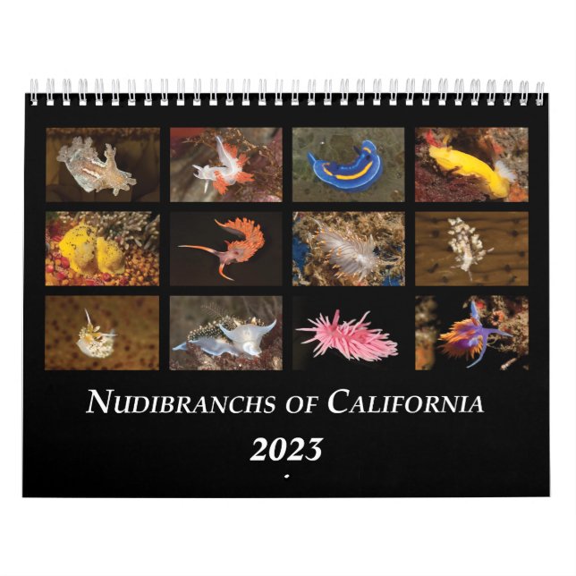 Calendrier Nudibranchs de Californie (Protection)