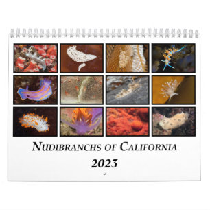 Calendrier Nudibranchs de Californie