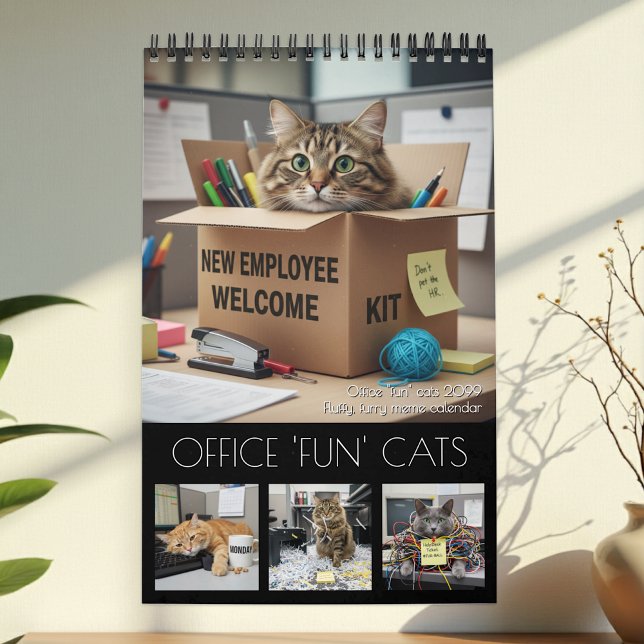Calendrier Office Fun Cats Calendar 2026 / Cat Photo Calendar (Office Fun Cats Calendar / cats meme photo)