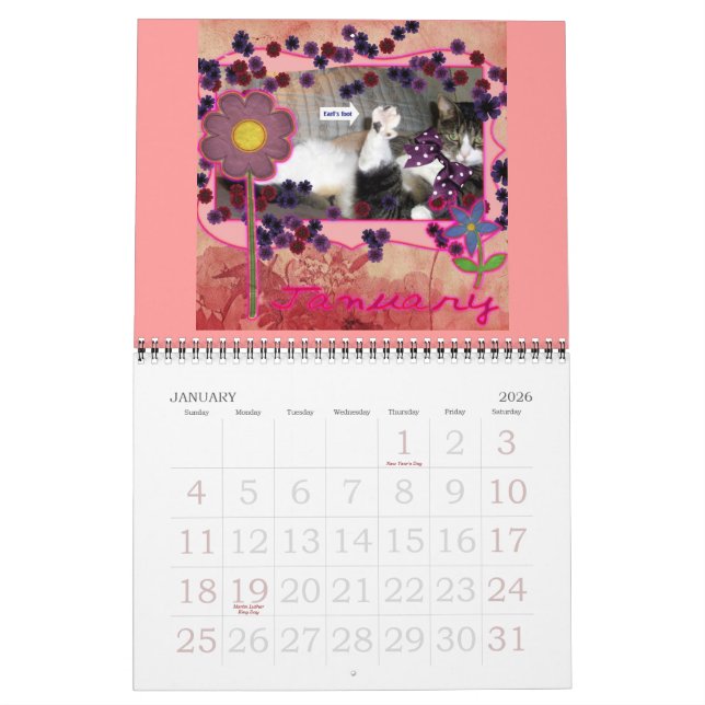 Calendrier officiel des chats pourris cuits 2011 (Jan 2026)