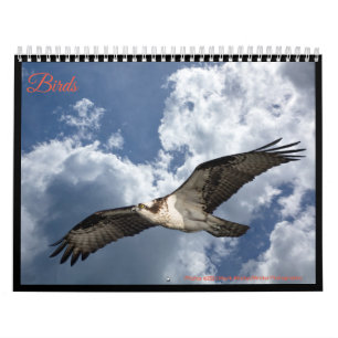 Calendrier Oiseaux