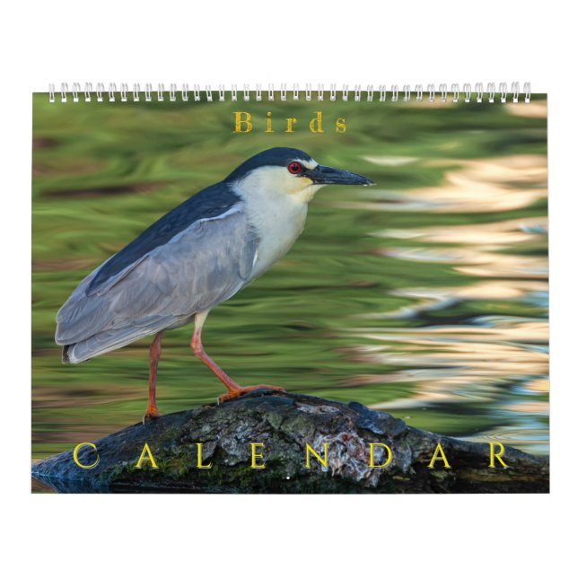 Calendrier Oiseaux (Protection)