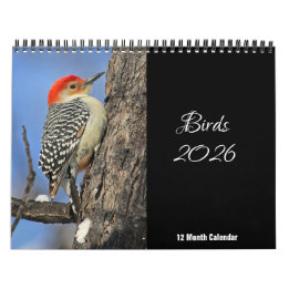 Calendrier Oiseaux 2026