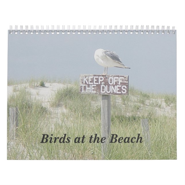 Calendrier - Oiseaux à la plage (Protection)