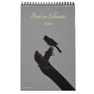 Calendrier Oiseaux à Silhouette 2025 Faune et nature Photo