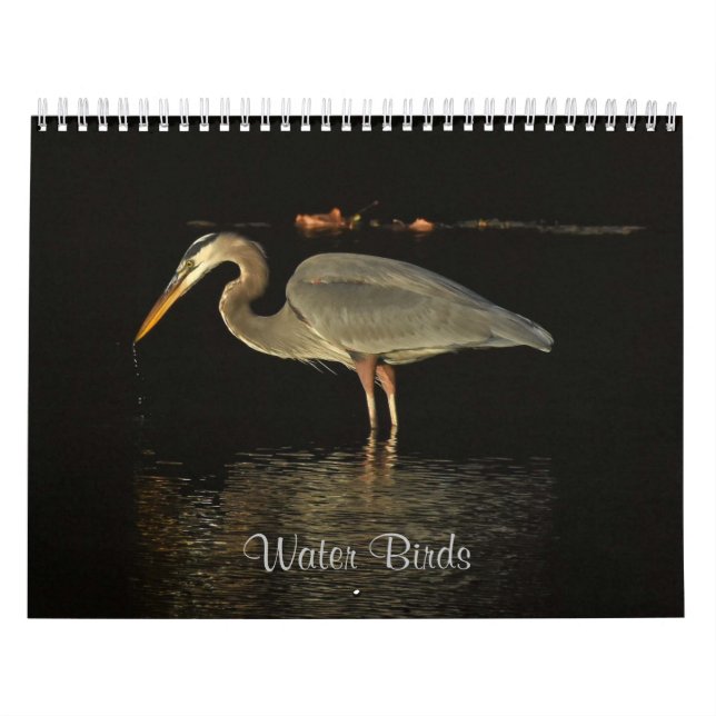 Calendrier Oiseaux aquatiques 2 (Protection)