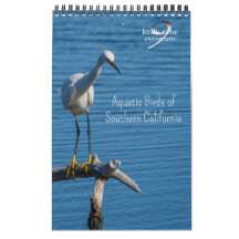 Oiseaux aquatiques de Californie du Sud par Kelly 