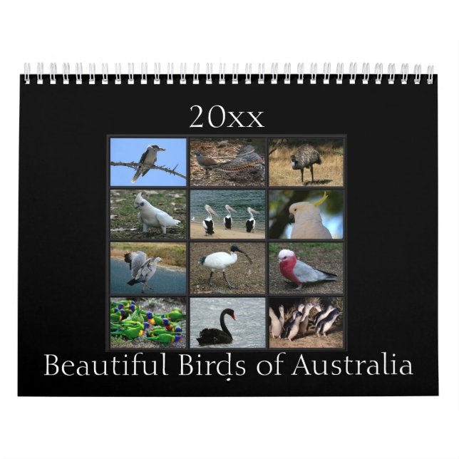 Calendrier Oiseaux australiens colorés (Protection)