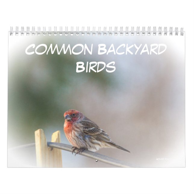 Calendrier - Oiseaux communs de Jardin (Protection)