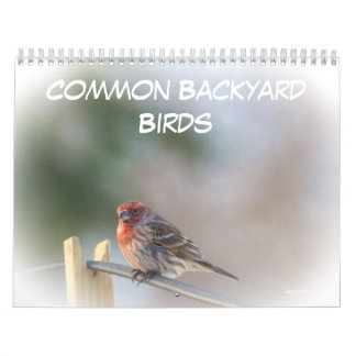 Calendrier - Oiseaux communs de Jardin