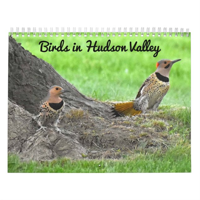 Calendrier Oiseaux dans la vallée de l'Hudson (Protection)