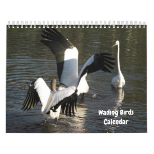Calendrier Oiseaux de chargement