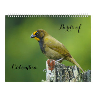 Calendrier Oiseaux de Colombie