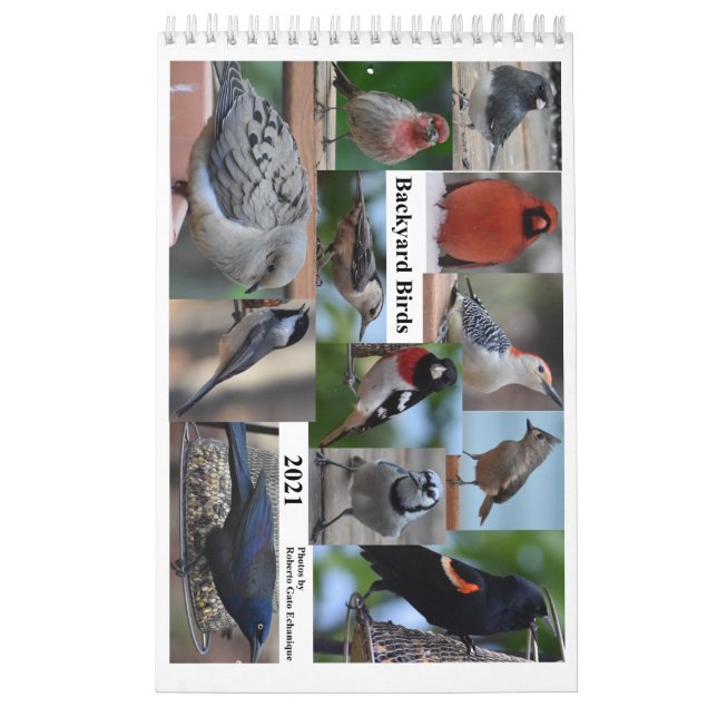 Calendrier Oiseaux de Jardin du milieu de l'Atlantique (Protection)