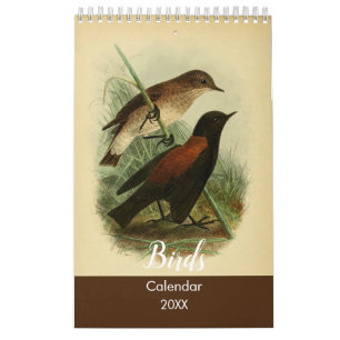 Calendrier Oiseaux de la Terre de Feu