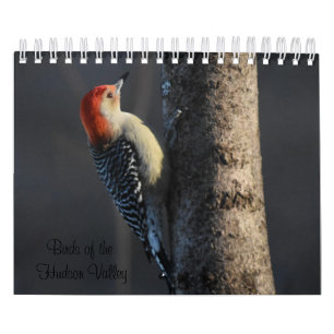Calendrier Oiseaux de la vallée de l'Hudson