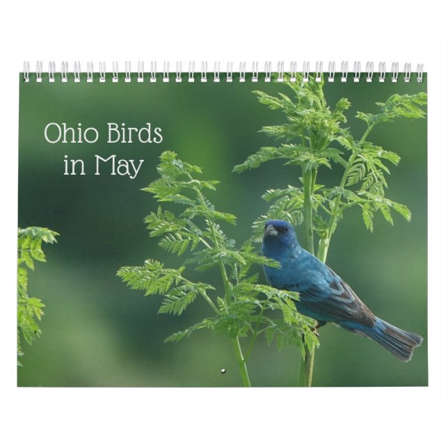 Calendrier Oiseaux de l'Ohio en mai (Protection)