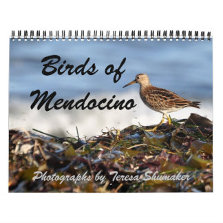 Calendrier Oiseaux de Mendocino