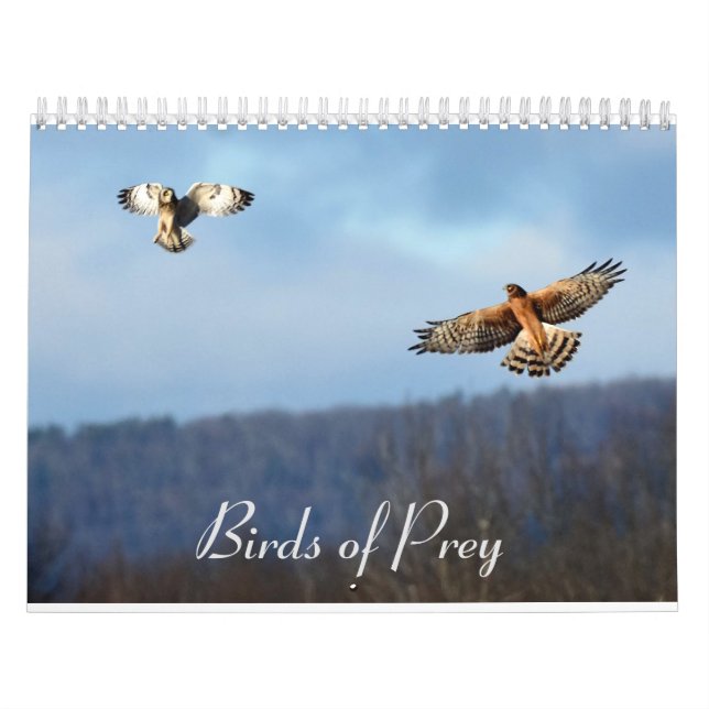 Calendrier Oiseaux de Prey (Protection)