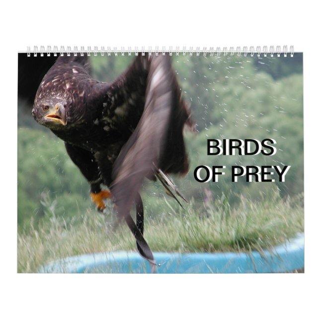 Calendrier Oiseaux De Prey 2024 (Protection)