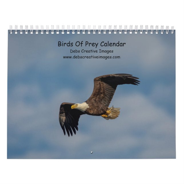 Calendrier Oiseaux de Prey 2026 (Protection)