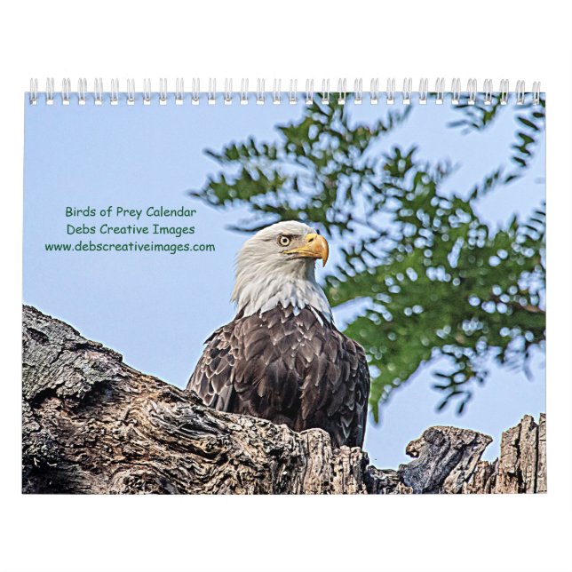 Calendrier Oiseaux de Prey 2026 (Protection)