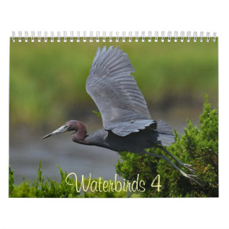 Calendrier Oiseaux d'eau 4