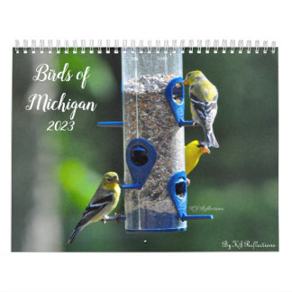 Calendrier Oiseaux du Michigan