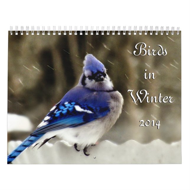 Calendrier Oiseaux en hiver (Protection)