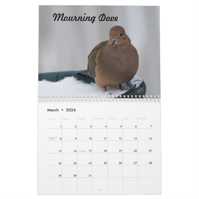 Calendrier Oiseaux Jardins du Missouri (Mar 2026)