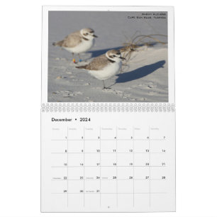 Calendrier Oiseaux nord-américains par Emily Willoughby