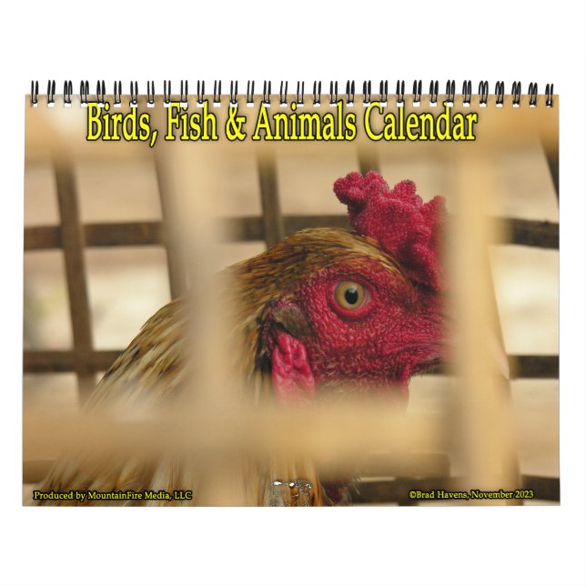 Calendrier Oiseaux, poissons et autres animaux exotiques (Protection)