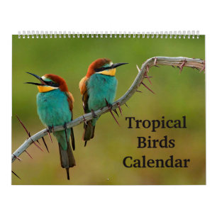 Calendrier Oiseaux tropicaux
