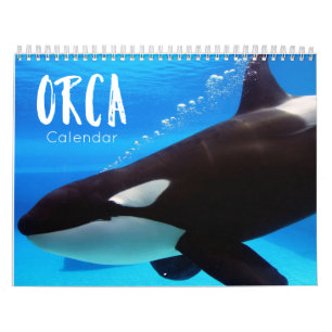 calendrier orca 2023 drôles & jolies orques