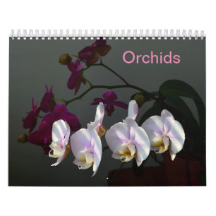 Calendrier Orchidées