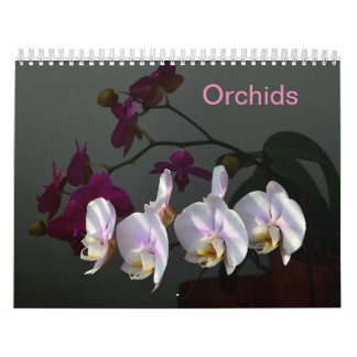 Calendrier Orchidées