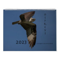 Calendrier Ospreys In Action 2023