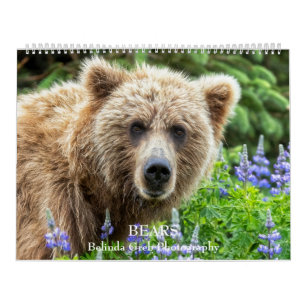 Calendrier OURS - Belinda Greb Photographie