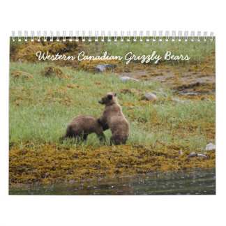 Calendrier Ours gris canadiens occidentaux